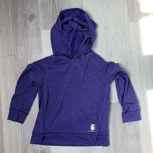 3T Carhartt light hooded pullover
